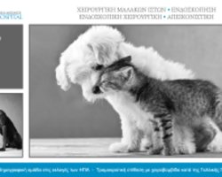 Κτηνιατρική Μοσχάτου ▪ "Animal Hospital" - Ψηφιακή σήμανση στο κτηνιατρείο